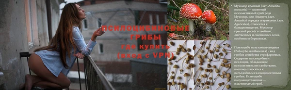 ALPHA PVP Алзамай