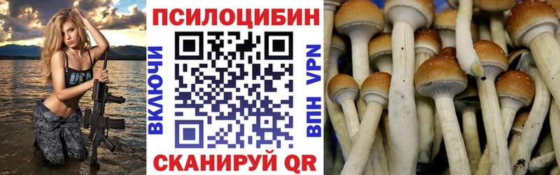 Псилоцибиновые грибы Cubensis  Арск 